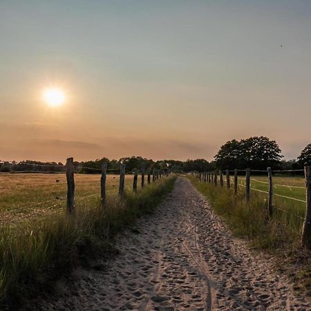 Ostsee Domizil Graal-Mueritz Zewnętrze zdjęcie