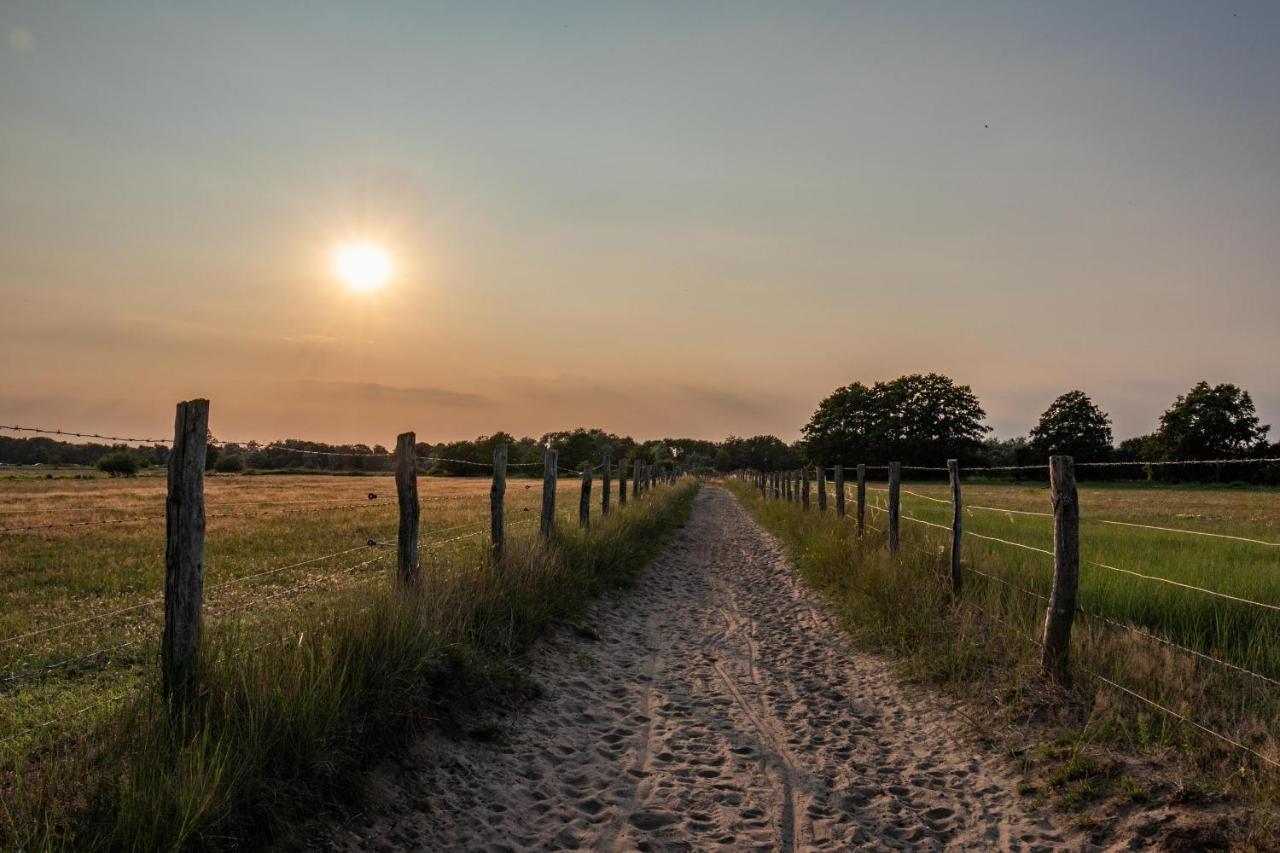 Ostsee Domizil Graal-Mueritz Zewnętrze zdjęcie